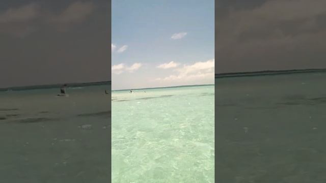 Los roques venezuela