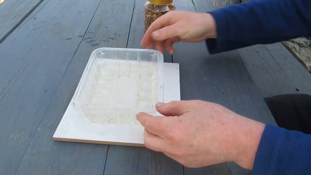 Подготовка гороха к посадке смотреть онлайн