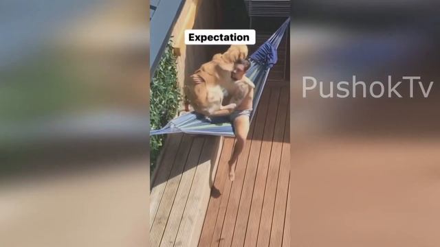 🐾 СМЕШНЫЕ КОШКИ 2022 И ДРУГИЕ ЖИВОТНЫЕ/ СМЕШНЫЕ ЖИВОТНЫЕ 2022/ЛУЧШИЕ ПРИКОЛЫ С КОТАМИ