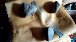 Подготовка бересты к работе и хранению.