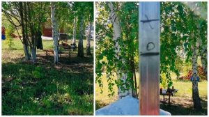 ТЕПЕРЬ НА ДАЧЕ ЕСТЬ ЗАБОР!!! :)