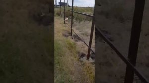 каркас забора под профнастил
