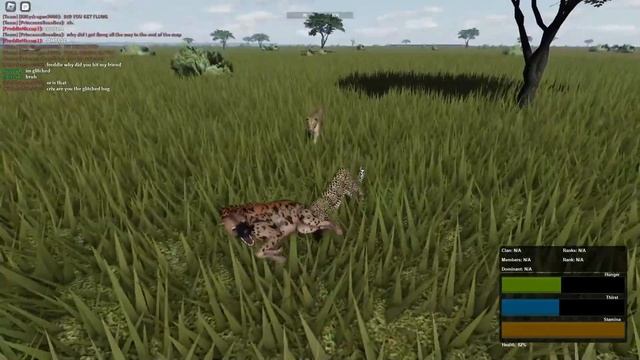 Getting hunted in Wild Savanna - Roblox смотреть онлайн