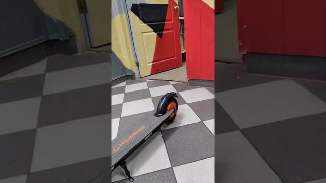 Вы торгуете электросамокатами Kugoo?