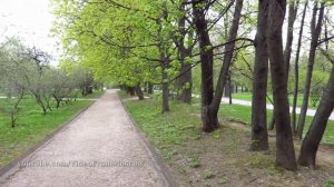 Прогулка в Коломенском 12 мая 2022
