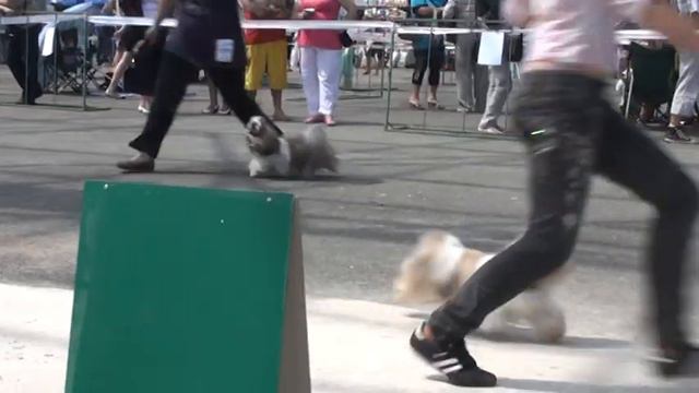 20120505125310.mpg смотреть онлайн