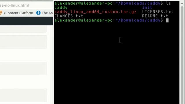 Como instalar o Caddy no Ubuntu смотреть онлайн