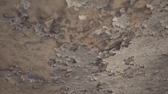 BlackLion.shop - уличная одежда и обувь смотреть онлайн