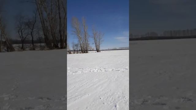 По следам снегохода смотреть онлайн