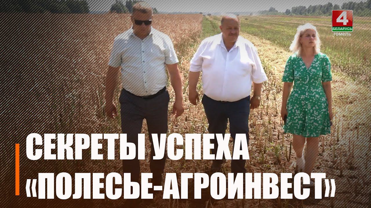 Ведущее сельхозпредприятие Петриковщины закрыло госзаказ по рапсу и начало убирать пшеницу и рожь смотреть онлайн