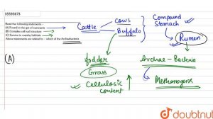 Read the following statement- (A) Found in the gut of ruminants (B) Complex cell wa