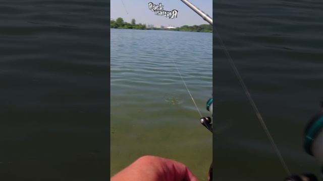 Друзья, вышло новое видео про рыбалку. Вот вам затравочка. Переходите и смотрите полный видос.
