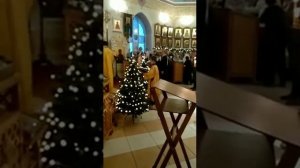 Чтение Апостола. Чтец Георгий Тюрин. Храм Спаса Нерукотворного образа г.Всеволожск. 12 декабря 2021