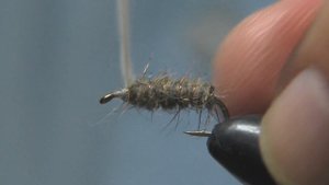 Супер мушка-ручейник в домике.