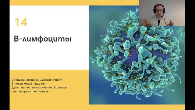 Что такое иммунитет смотреть онлайн