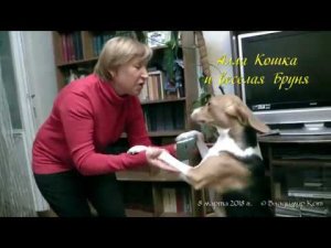 Веселые Алла и Бруня