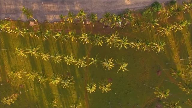 Это очень красивая, нежная и очаровательная музыка! Можно слушать бесконечно! Сергей Чекалин - Волн