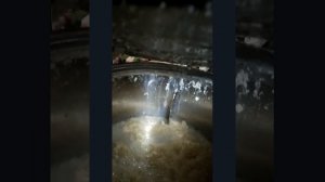 Видео работы Маслобойки Melasty на 15 литров. Отзыв нашего покупателя.