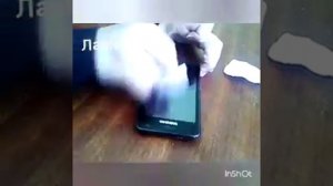 Чистим экран телефона