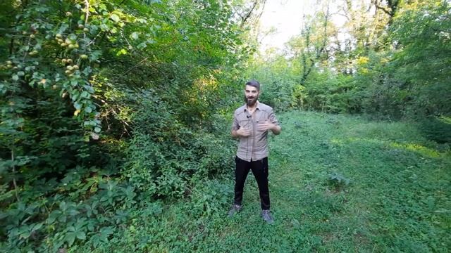 Пить или не пить в жизни, на отдыхе, в чем разница? Возможна ли трезвая жизнь?