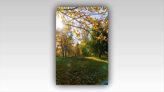 14 10 23 Осенняя фотопрогулка (4K) смотреть онлайн