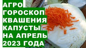 Агрогороскоп квашения капусты на апрель 2023 года. Агрогороскоп квашення капусти на квітень 2023