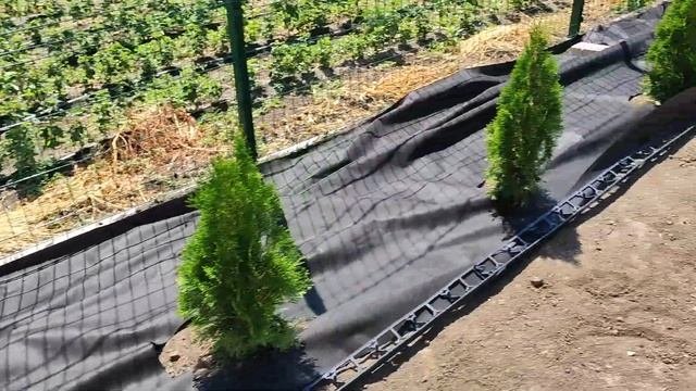 Типовой пруд 6м*8м готов.