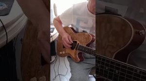 Ibanez-talman TCM-50