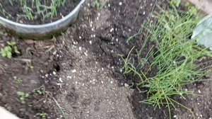 5 утра Московская область 6 мая