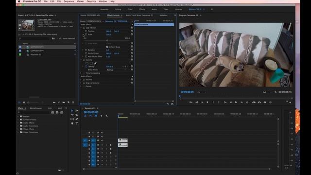 How to Convert 4:3 Video to 16:9 in Adobe Premiere Pro with no Pixels Cropped смотреть онлайн