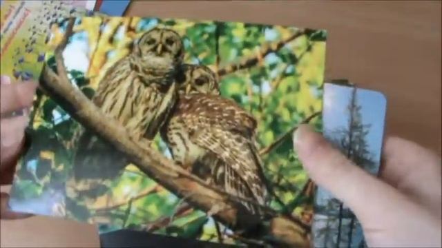 Мои пришедшие открытки/Посткроссинг/ смотреть онлайн