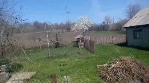 Село Белая.mp4