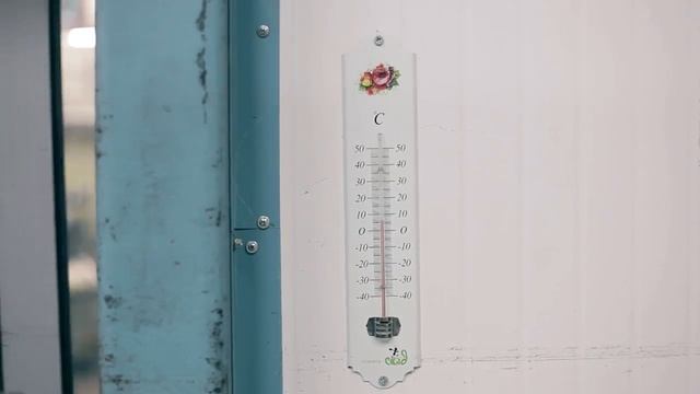 Как сохранить свежесть цветов. Советы от Азалии. смотреть онлайн