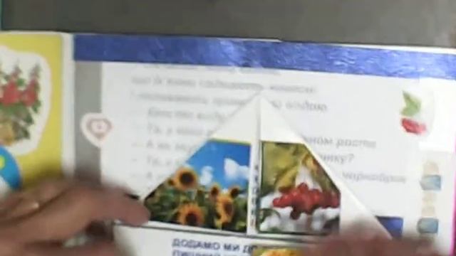 Лепбук. Сучасна українська поезія для найменших