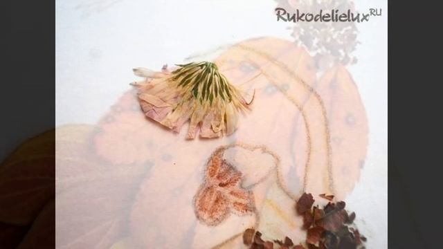 Осенние листья - аппликации из осенних листьев смотреть онлайн