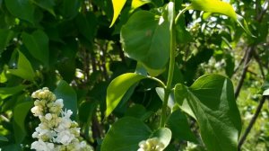 Авантюра на двоих 1 - 8 серии | Мелодрама 2021