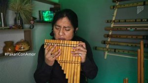 Pakari - Music of nature/Native flute music🌿