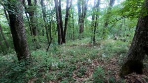 Поход на гору Собер-Баш. Краснодарский край. 2 часть.