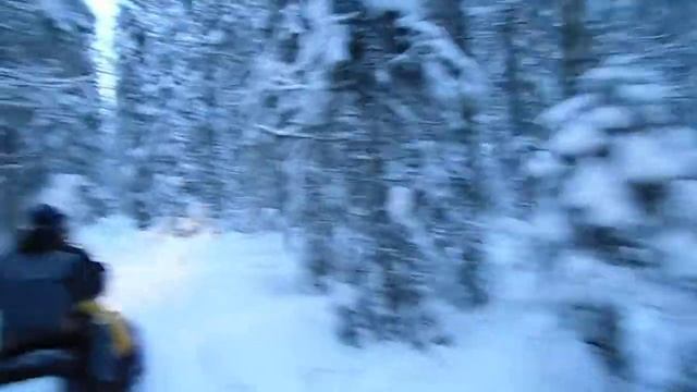 Мы едем, едем,едем........ смотреть онлайн