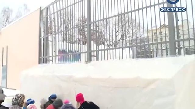 В пензенском зоопарке готовятся к переселению Белого в новый вольер смотреть онлайн