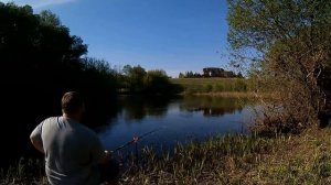 Окунь, густера, плотва, красноперка, подлещик, р  Сейм д  Якунино, Курский район Курская область