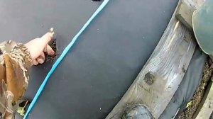 Клубничный бизнес у себя на даче.  Как посадил и вырастил клубнику? Сколько рублей дала сотка?