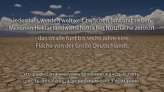 КАК СДЕЛАТЬ РАЙ НА СВОЕЙ ЗЕМЛЕ