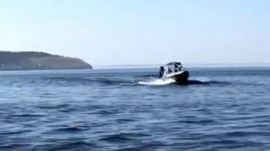 Orionboat 48ДУ 2017