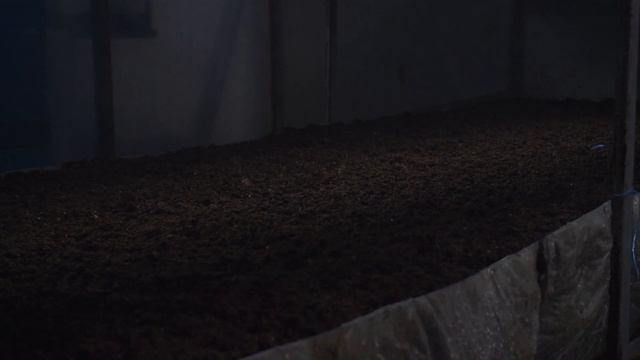 САМОДЕЛЬНАЯ ПОКРОВКА, результат | Новая загрузка компоста | Выращивание шампиньонов смотреть онлайн