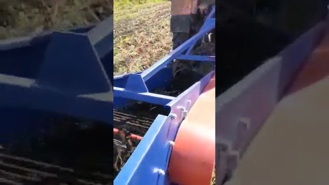 Картофелекопатель КН-1
