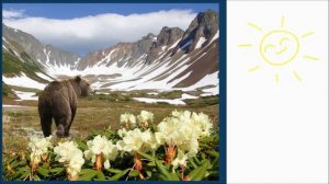 Заповедники Восточной части России