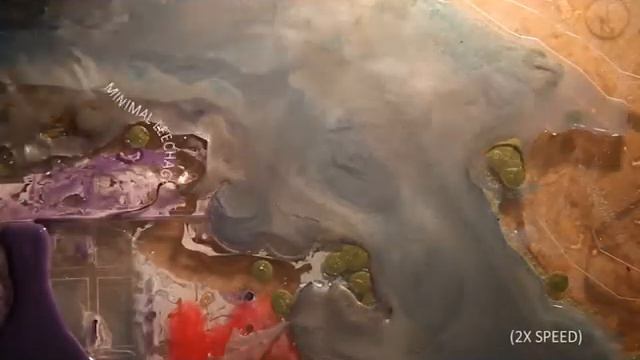 Camelia Contamianation смотреть онлайн