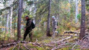 Осенний поход выходного дня с хорошенькой спутницей на гору Двойник