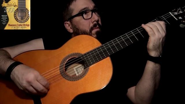 La Bella 2001 Flamenco Concert Series Black Nylon med tension смотреть онлайн